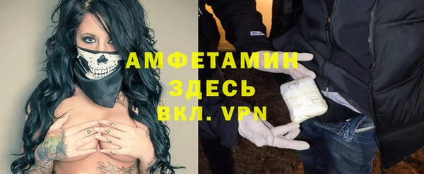 шишки Баксан