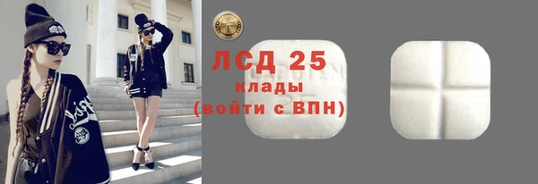 шишки Баксан