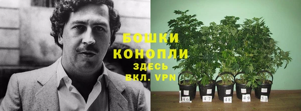 шишки Баксан